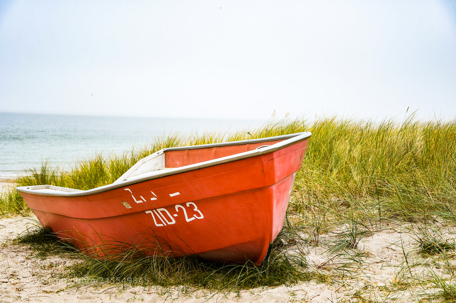 Nikon D500 sample photo. Boot am strand von photography