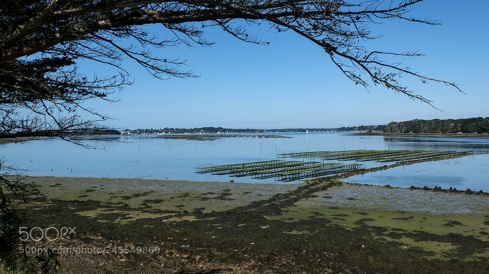 Fujifilm X10 sample photo. Parc a huitres photography