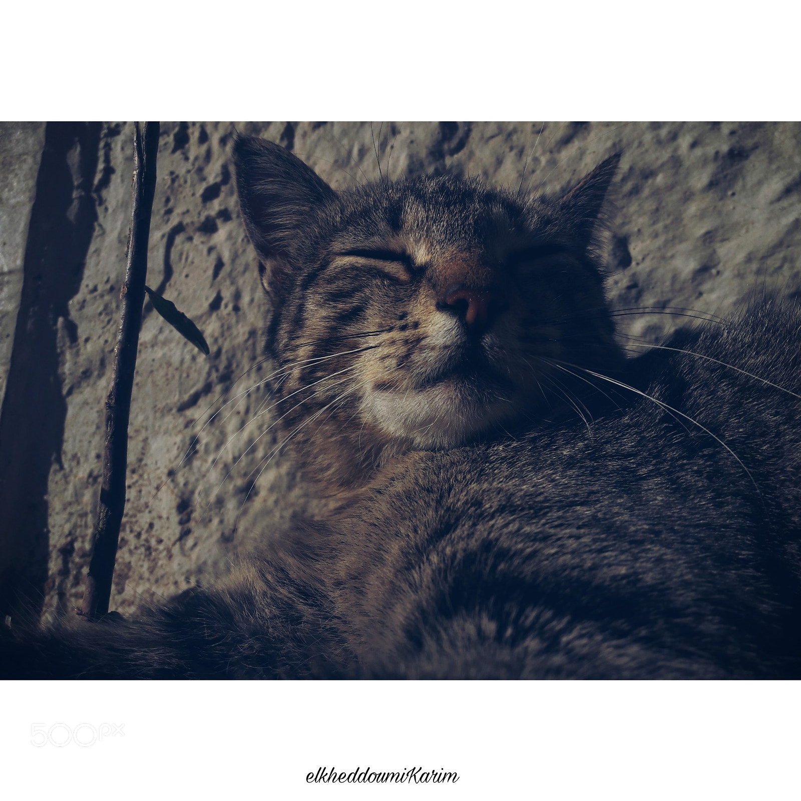Samsung Galaxy A5(2016) sample photo. Untitled photography