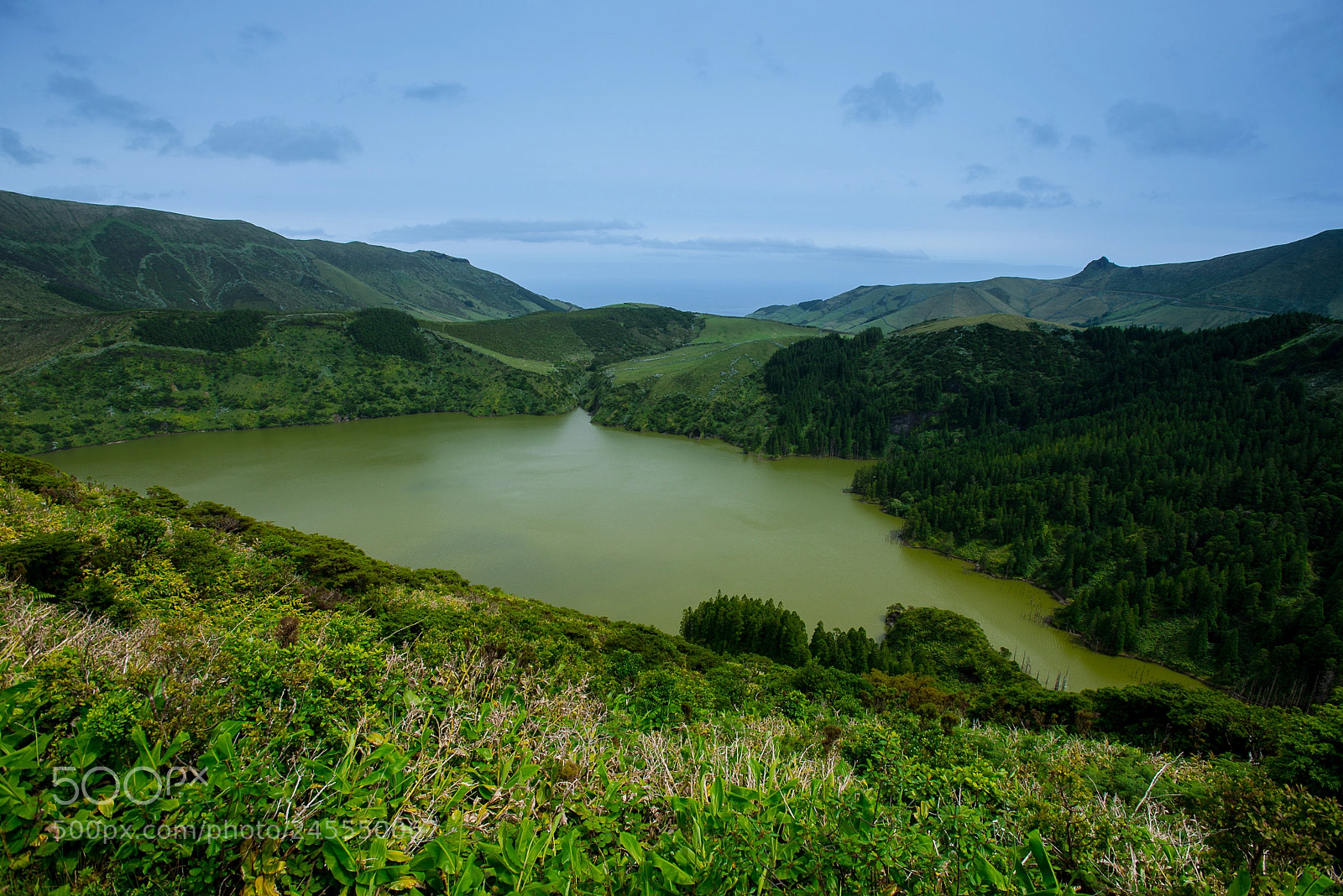Nikon D610 sample photo. Açores é tranquilidade... photography