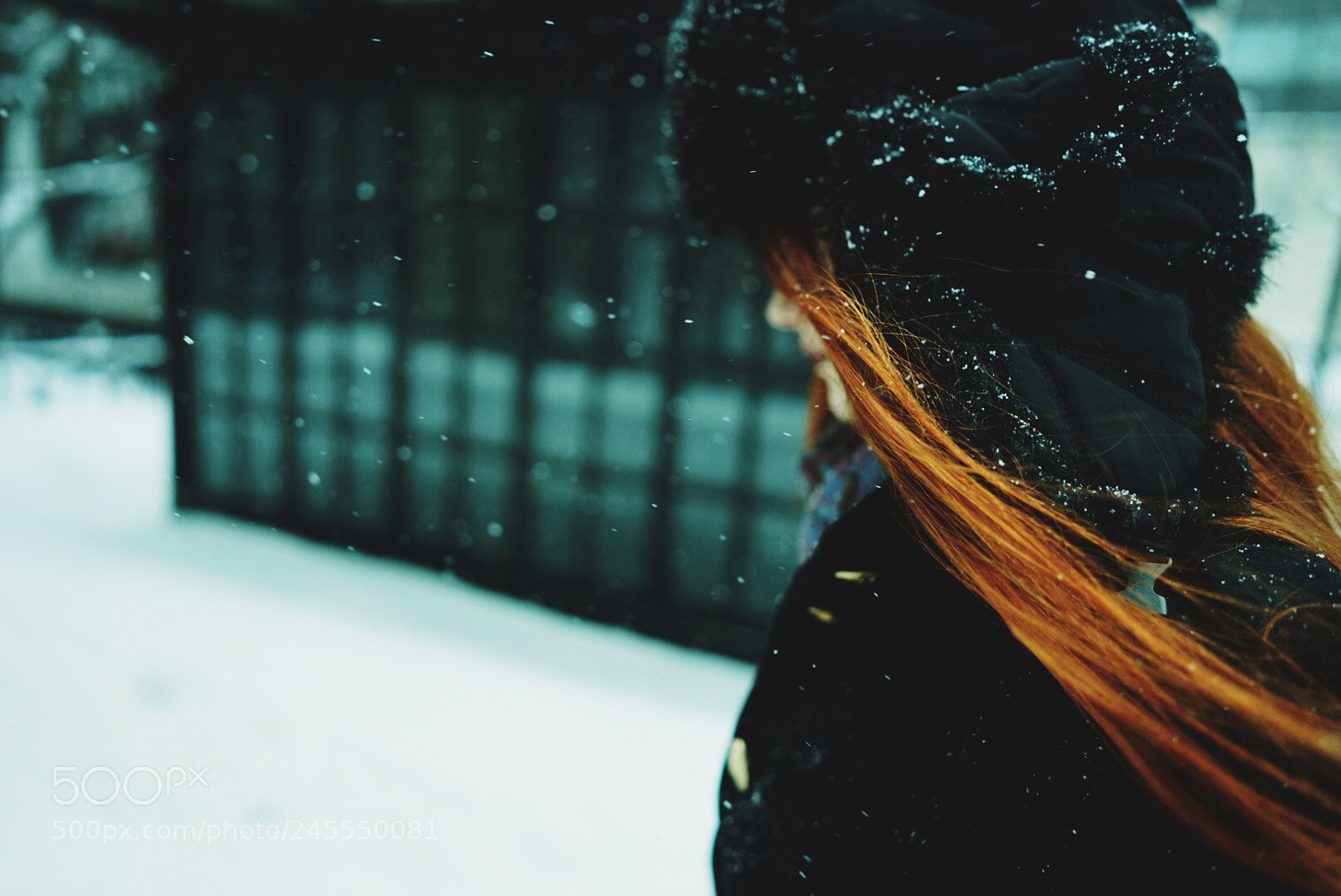Sony a7 II sample photo. /> peppermint photography