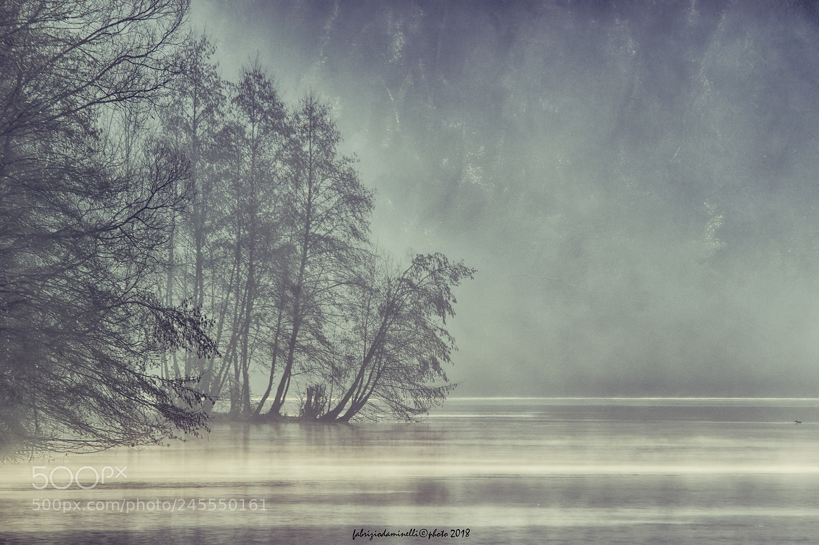Canon EOS 7D Mark II sample photo. Trees and fog on photography