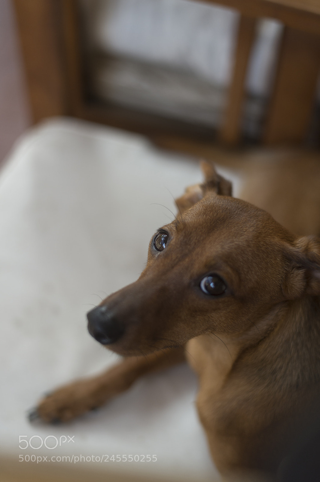 Nikon Df sample photo. Me? photography
