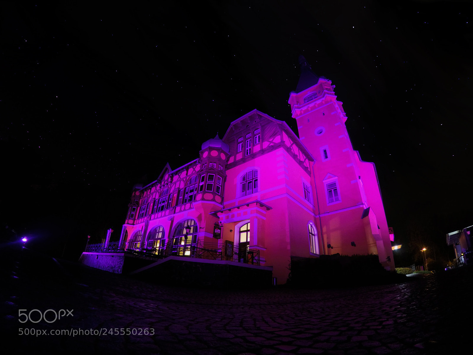 GoPro Hero5 Black sample photo. Purple lady photography