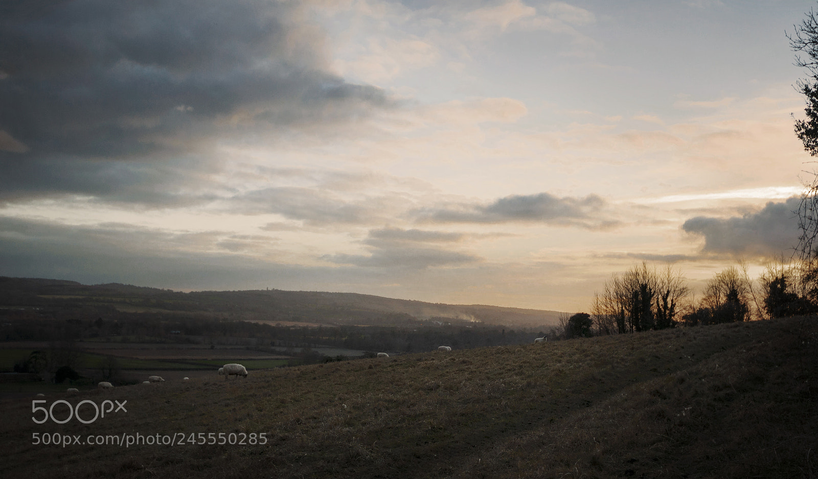Nikon D90 sample photo. Hillside photography