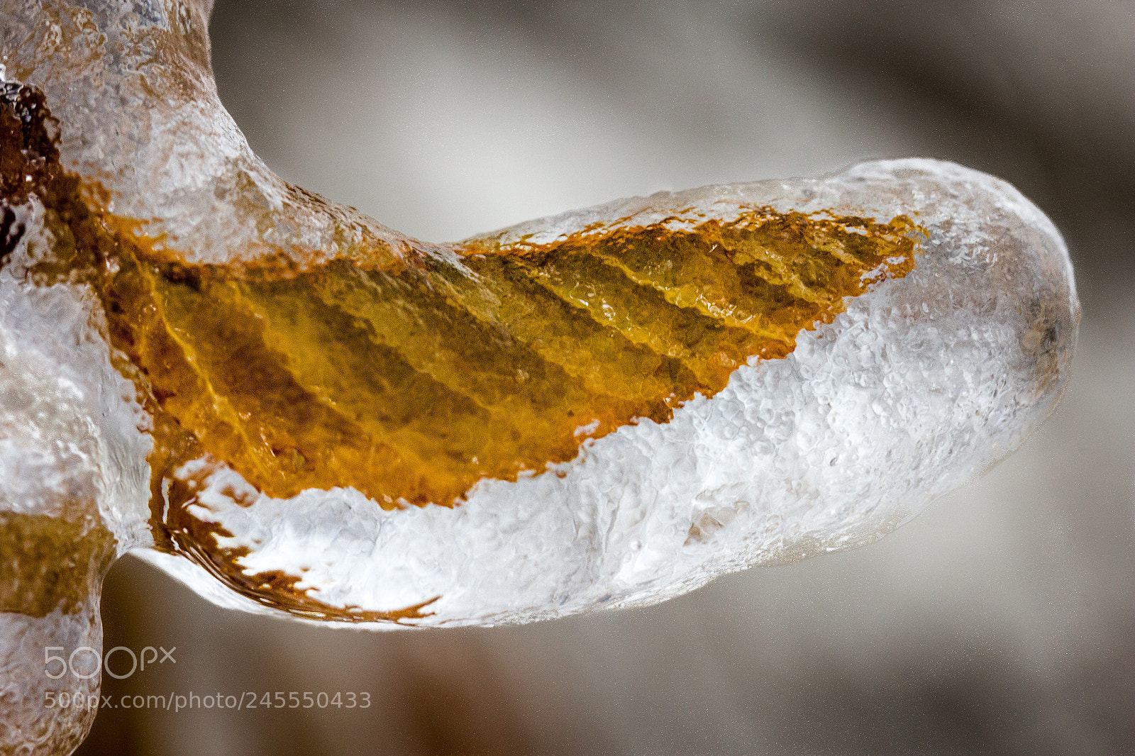 Canon EOS 60D sample photo. Frozen photography