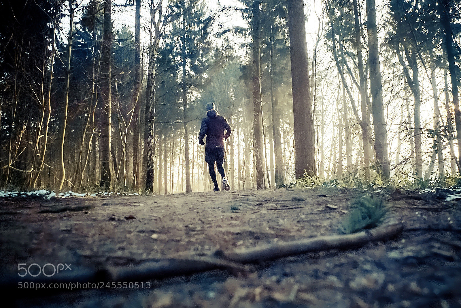 Fujifilm X10 sample photo. Fairytale forest run photography