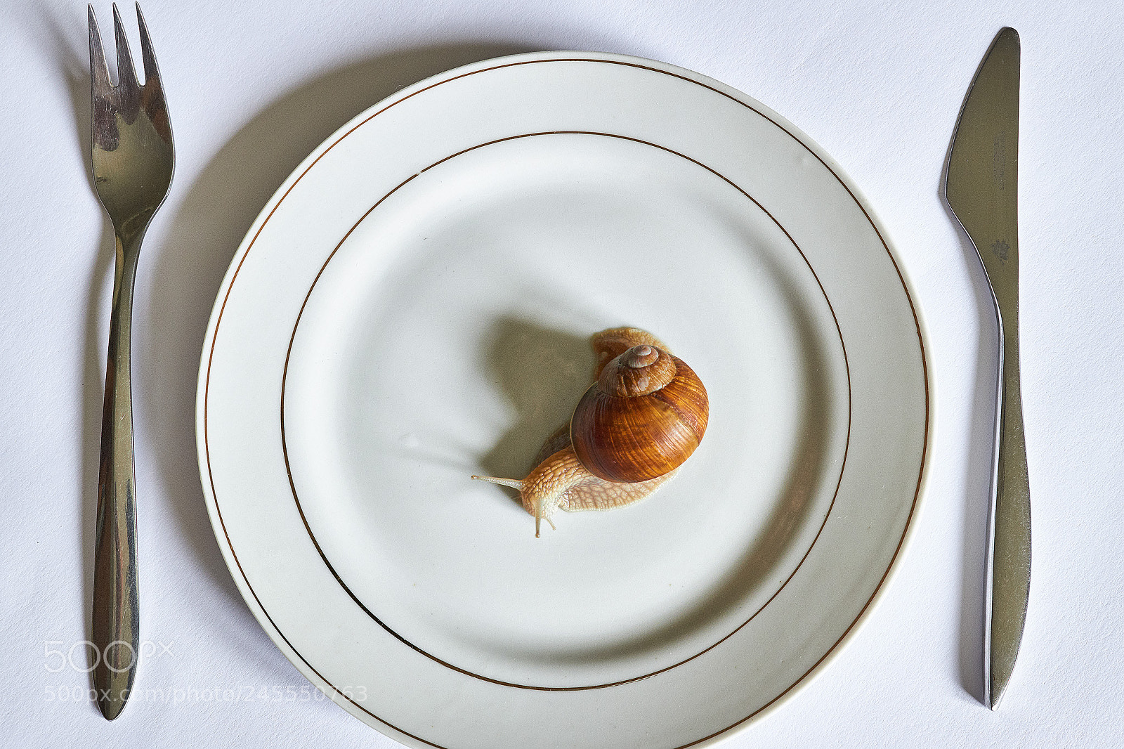 Canon EOS 100D (EOS Rebel SL1 / EOS Kiss X7) sample photo. Messie, enjoy your meal photography
