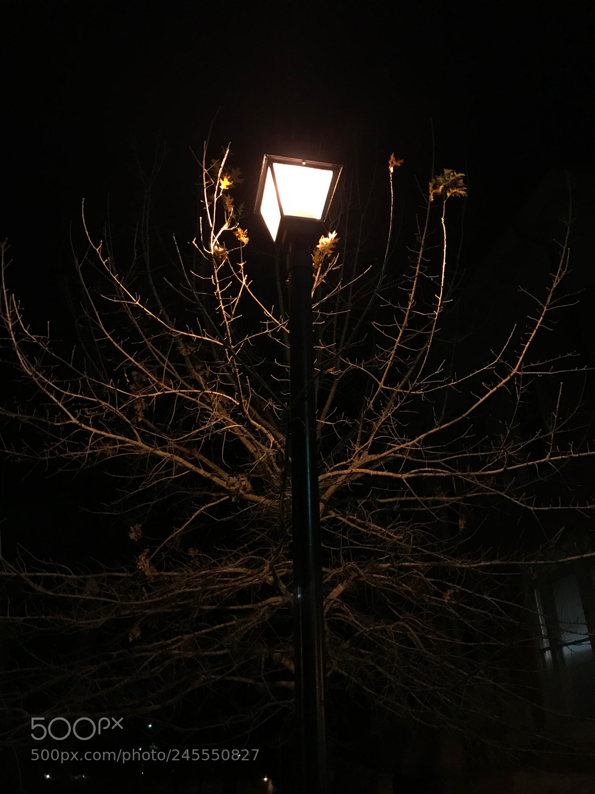 Apple iPhone 7 sample photo. Iron photography