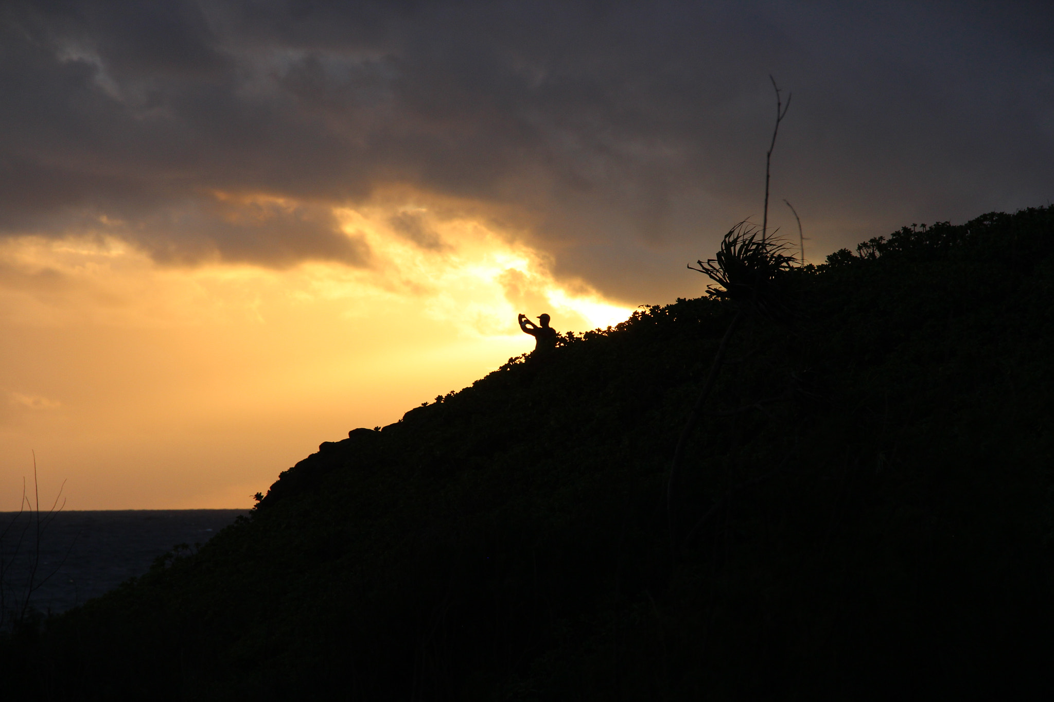 Canon EOS 650D (EOS Rebel T4i / EOS Kiss X6i) sample photo. Catching the sun rays photography