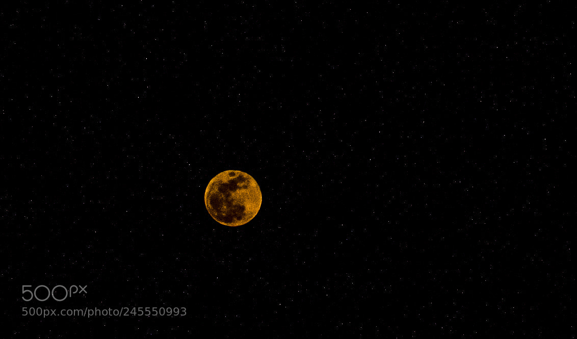 Canon EOS 100D (EOS Rebel SL1 / EOS Kiss X7) sample photo. Bloodmoon photography