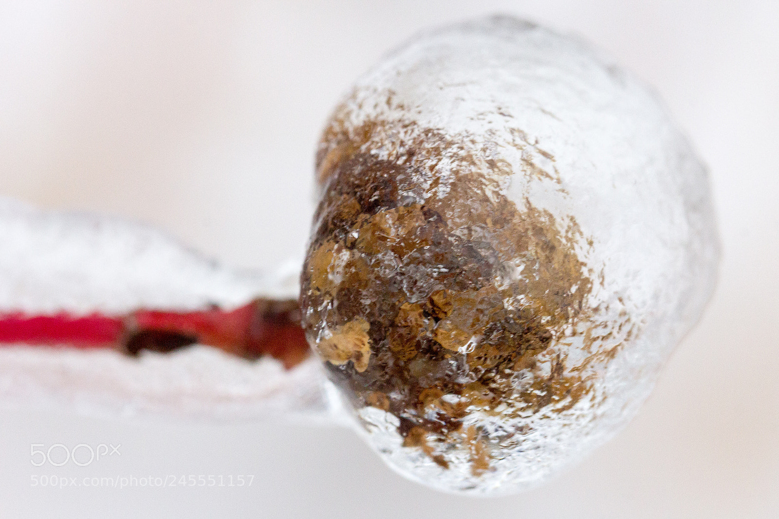 Canon EOS 60D sample photo. Frozen photography