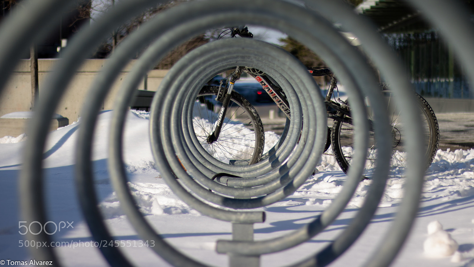 Canon EOS 750D (EOS Rebel T6i / EOS Kiss X8i) sample photo. Down the rabbit hole. photography