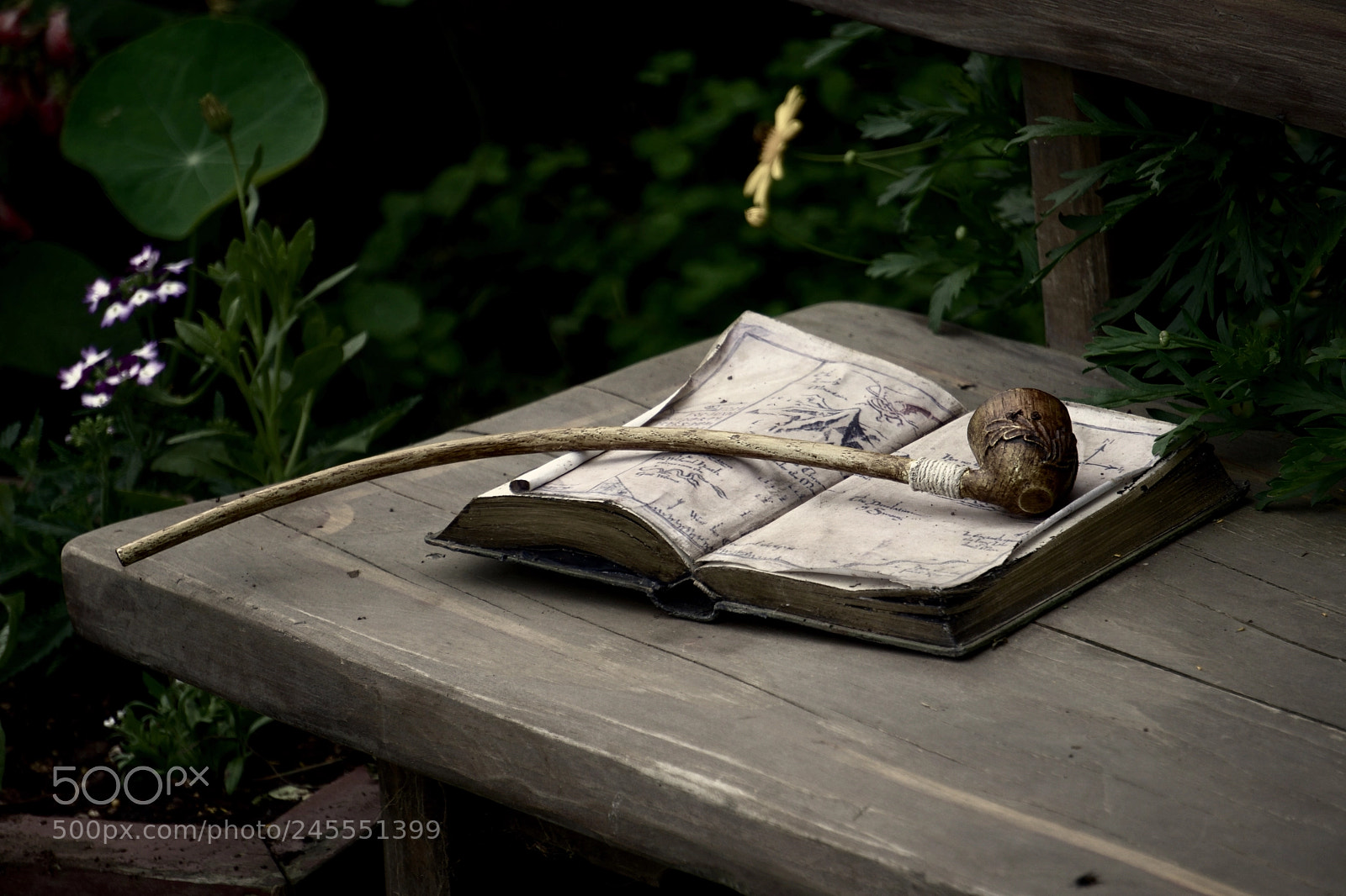 Sony a6300 sample photo. Bilbo photography