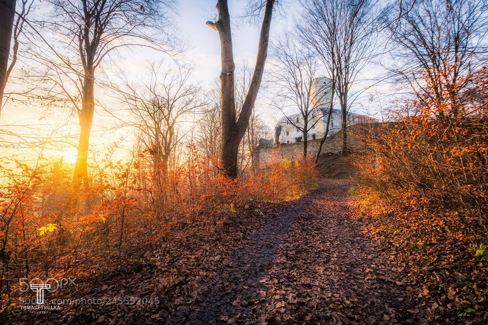 Nikon D7200 sample photo. Zamek lipowiec photography