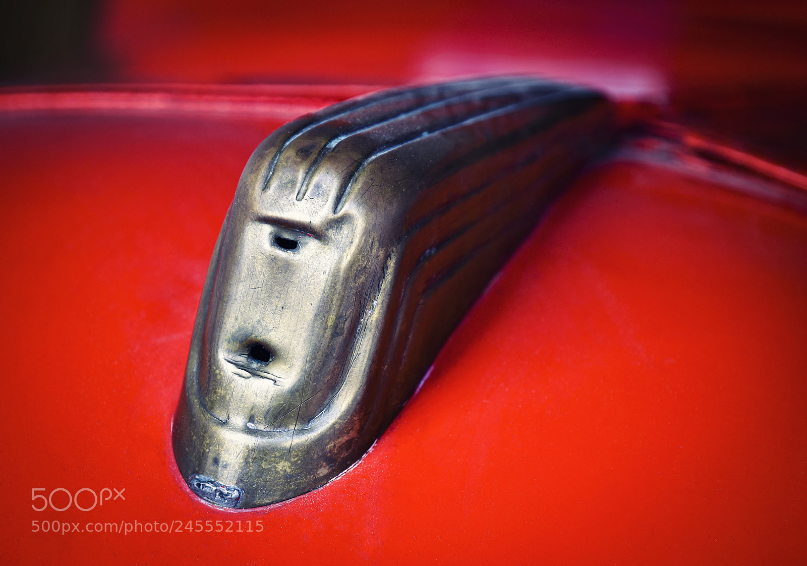 Nikon D5500 sample photo. Detail of an ornament photography