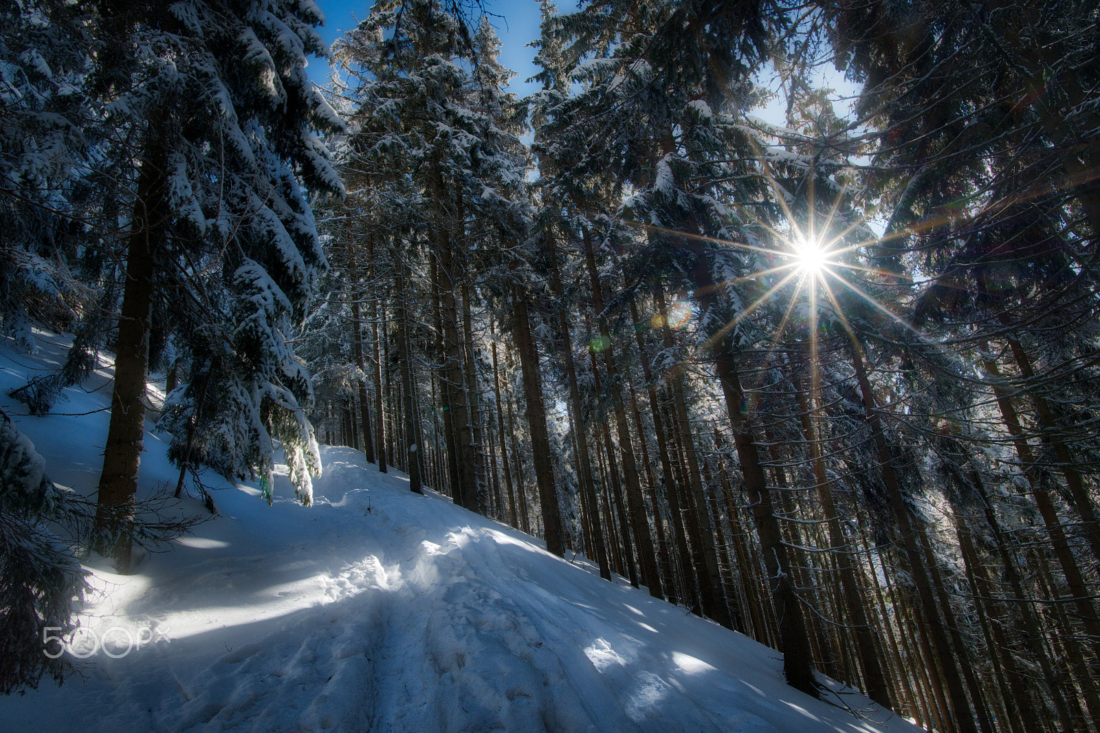 Nikon D850 + Nikon AF-S Nikkor 20mm F1.8G ED sample photo. Krkonoše photography