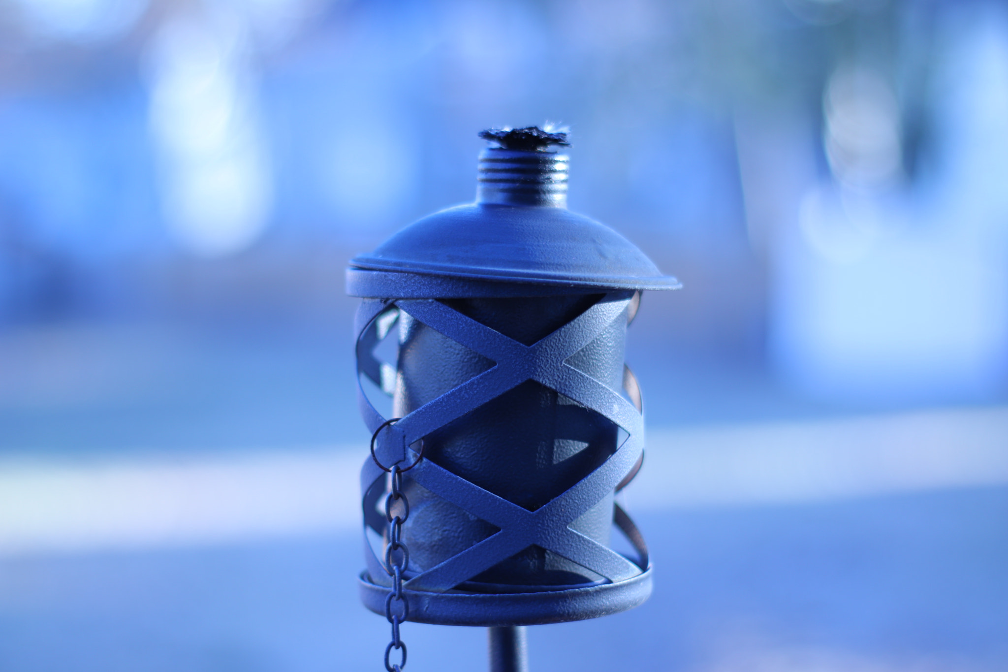Canon 50mm sample photo. Back yard torch photography