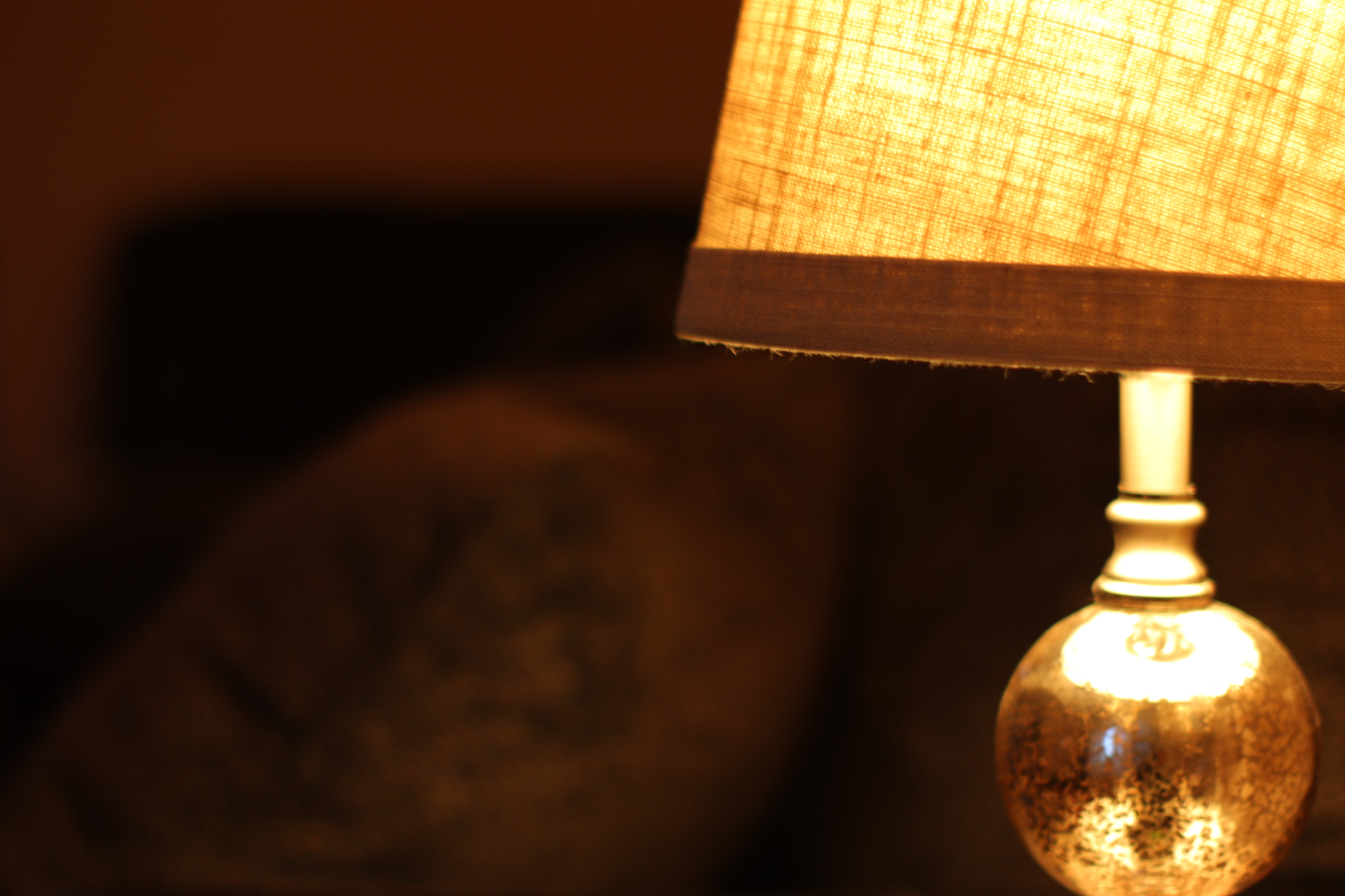 Canon 50mm sample photo. Living room lamp photography