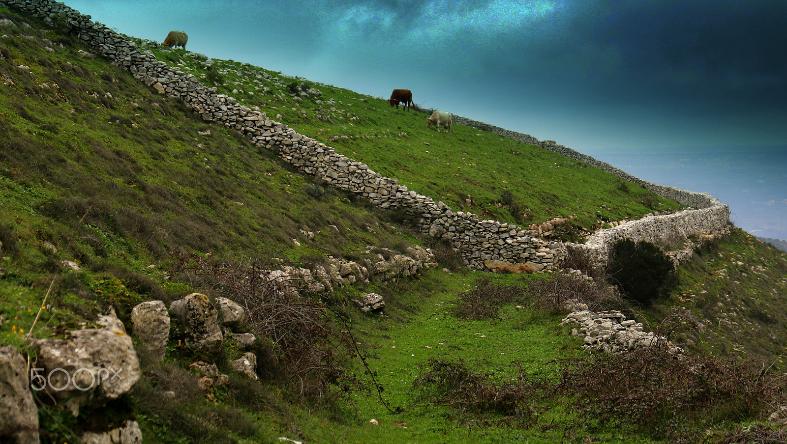 Canon EF 24-70mm F4L IS USM sample photo. Stone walls photography