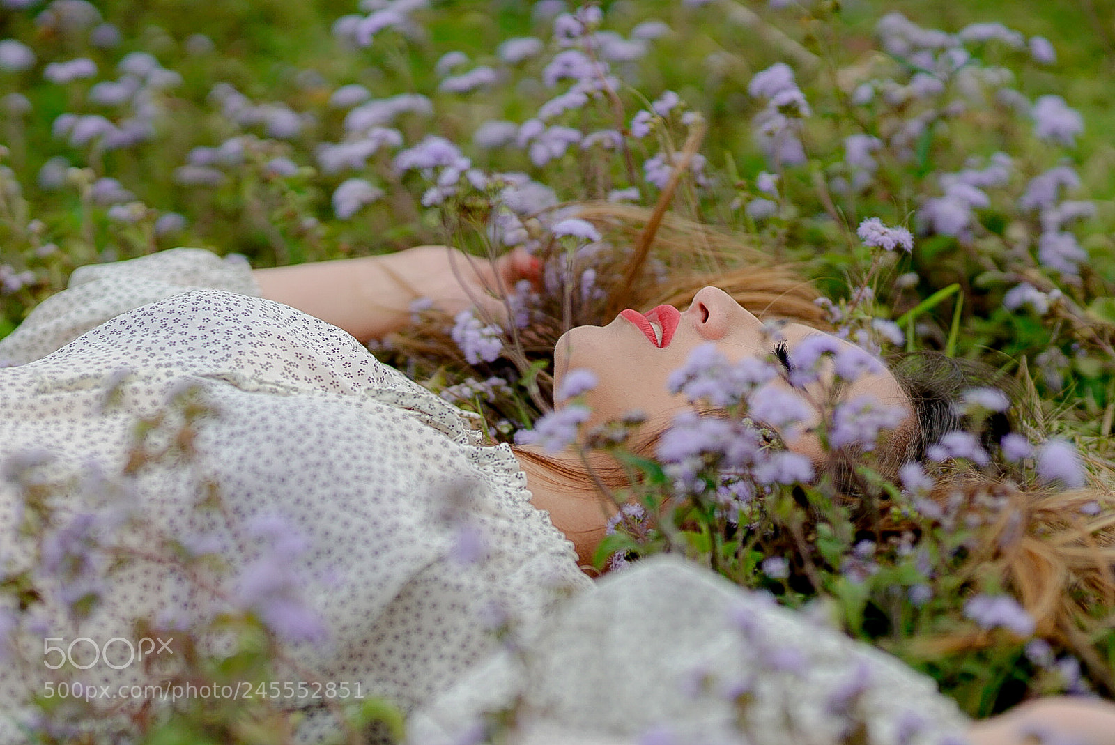Sony a7R II sample photo. Untitled photography