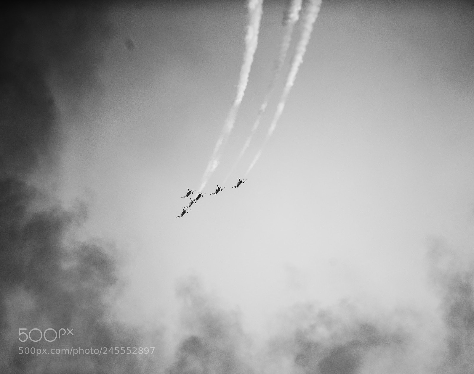 Canon EOS-1D X sample photo. Saudi hawks photography