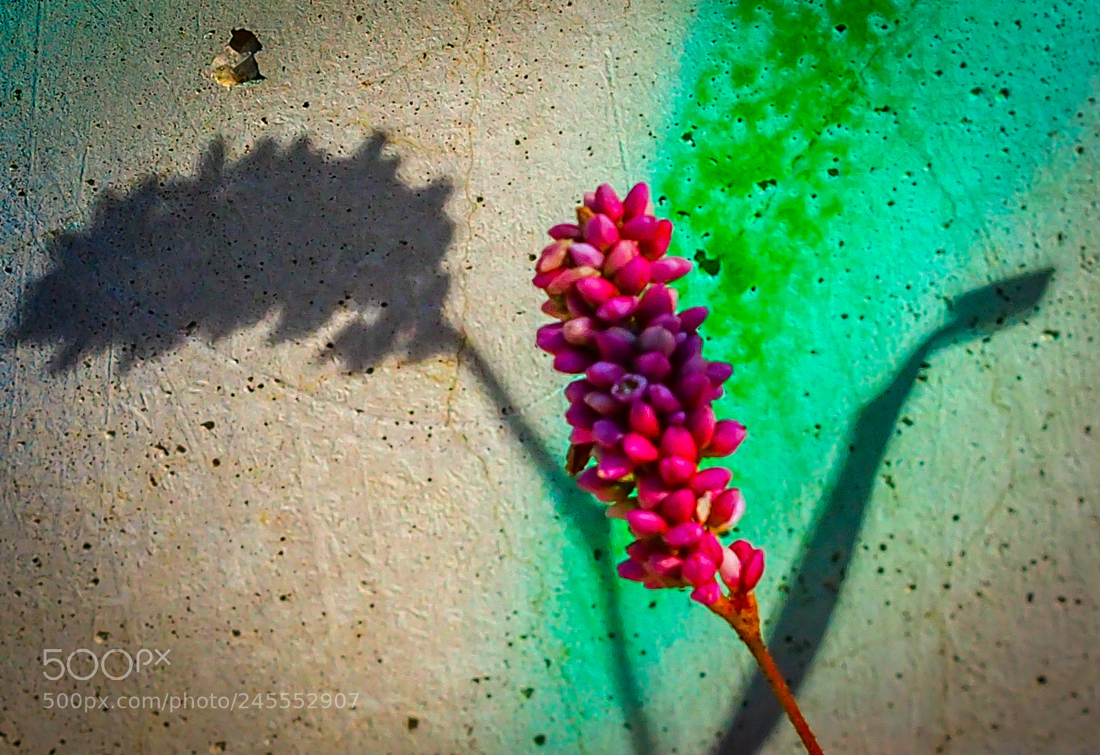 Olympus OM-D E-M5 sample photo. Shadows photography