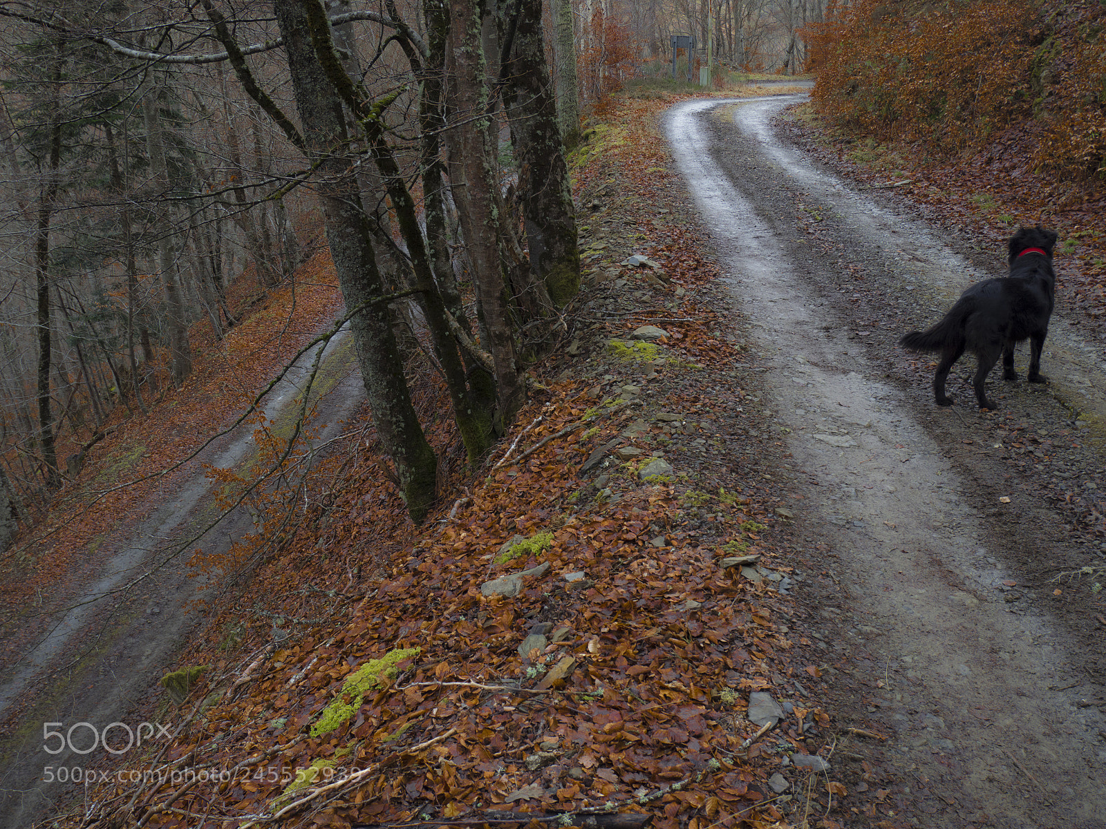 Olympus OM-D E-M10 II sample photo. Aller retour photography