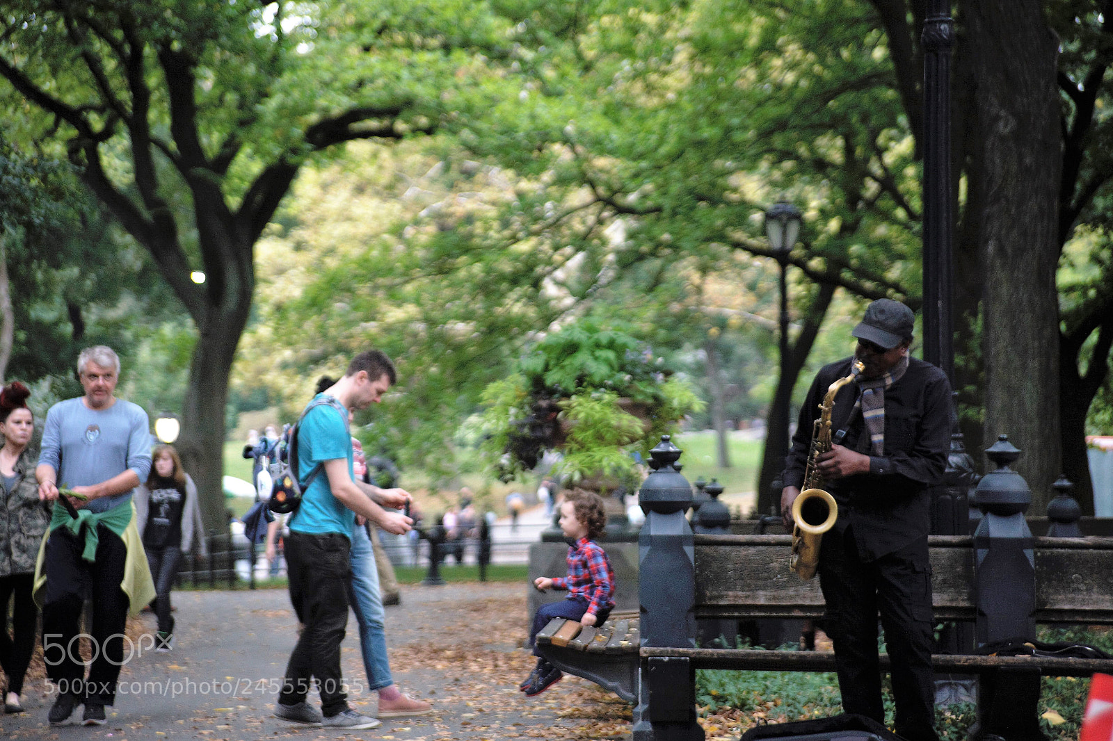 Canon EOS 5D sample photo. () photography