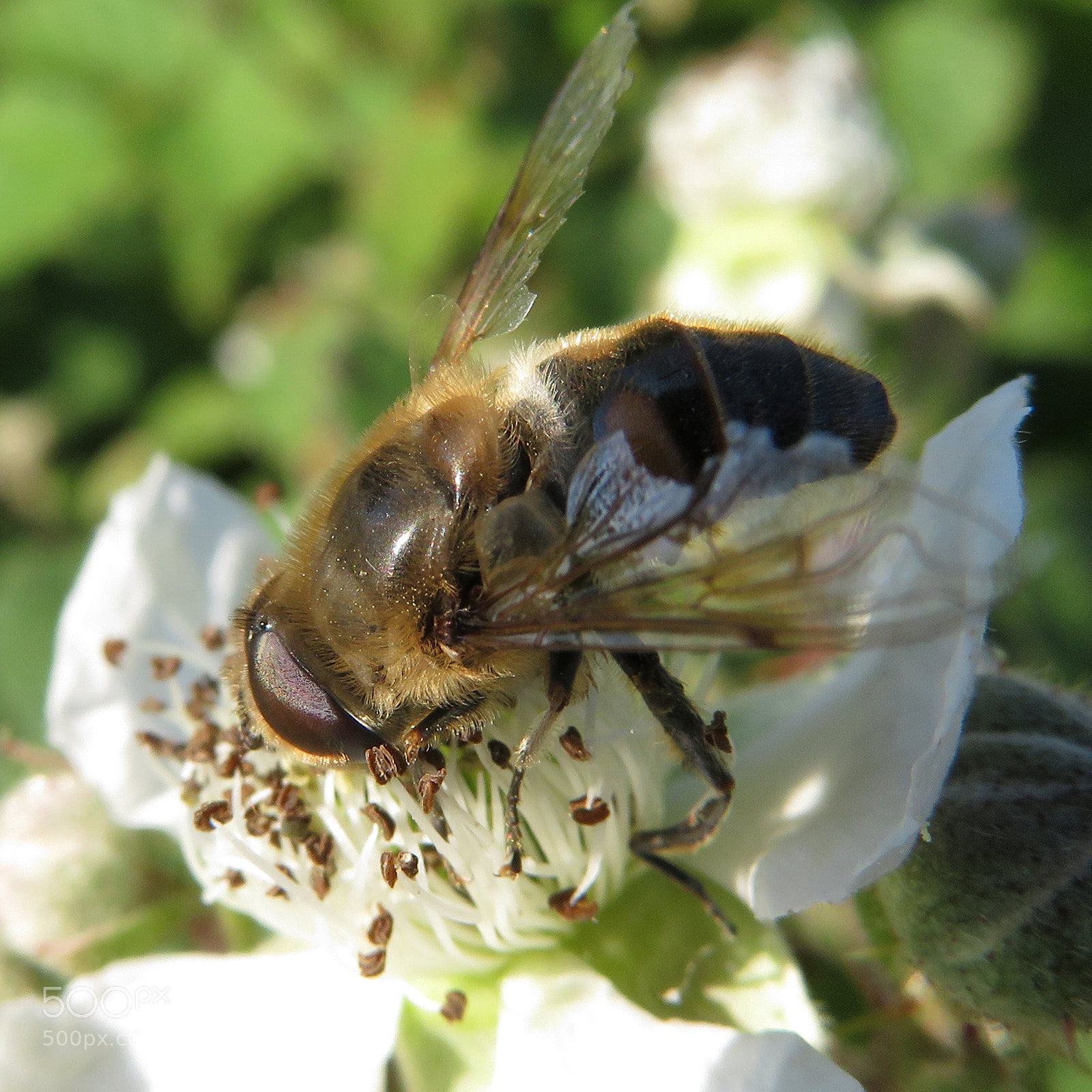Canon PowerShot SX720 HS sample photo. Untitled photography