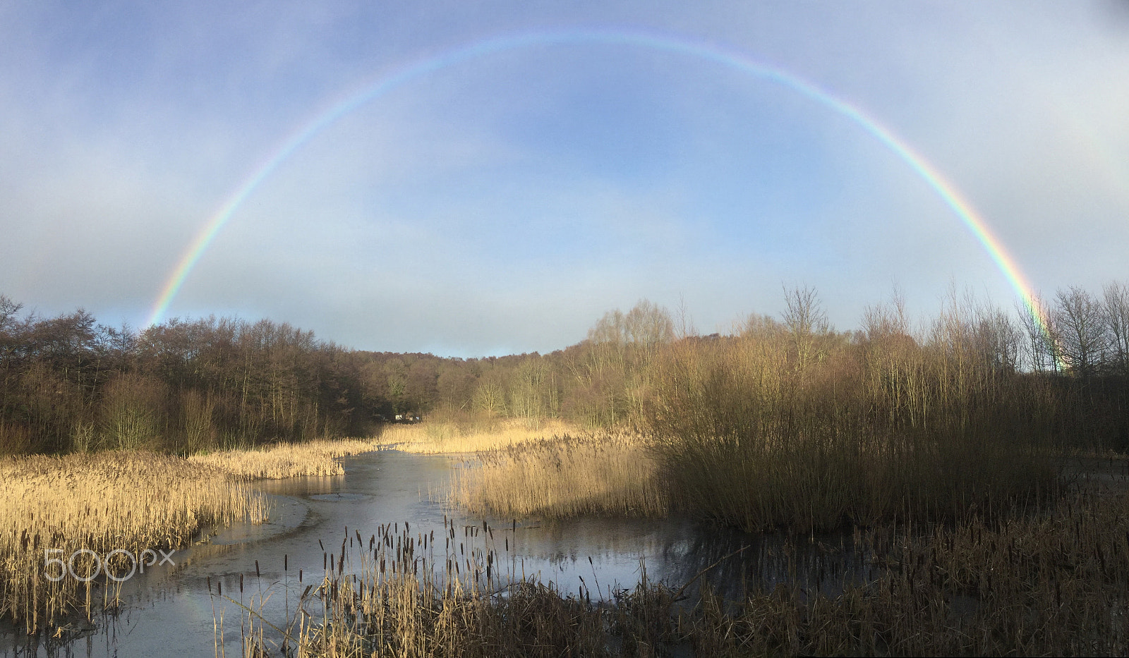Apple iPad mini 4 sample photo. Rainbow far pasture photography