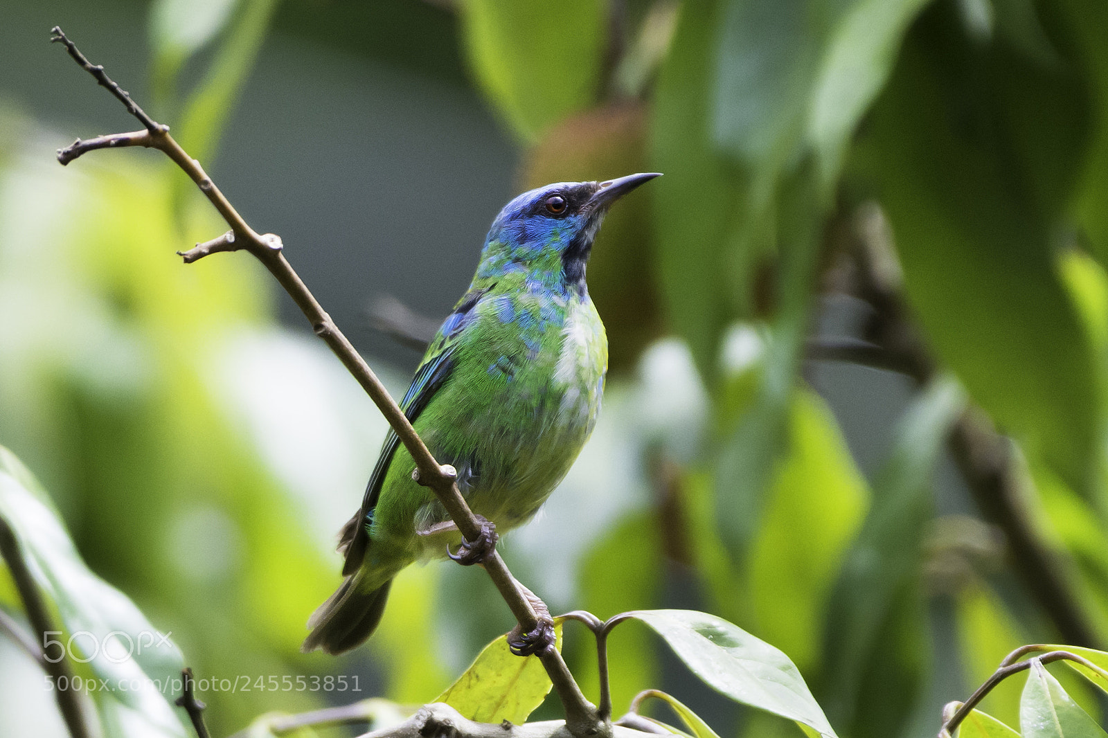 Nikon D7100 sample photo. Name it! photography