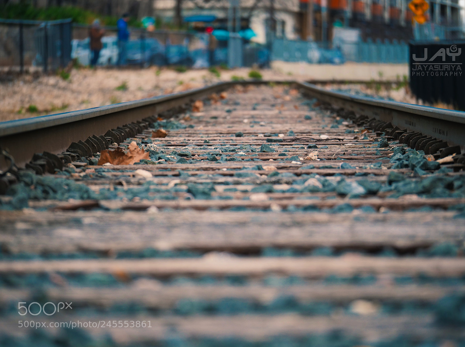 Panasonic Lumix DC-GH5 sample photo. Tracks  by @jayjayasuriya photography photography