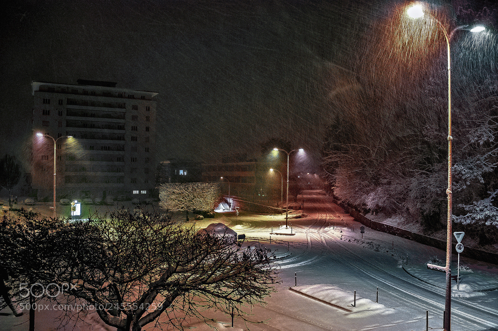 Canon EOS 450D (EOS Rebel XSi / EOS Kiss X2) sample photo. Grenchen photography