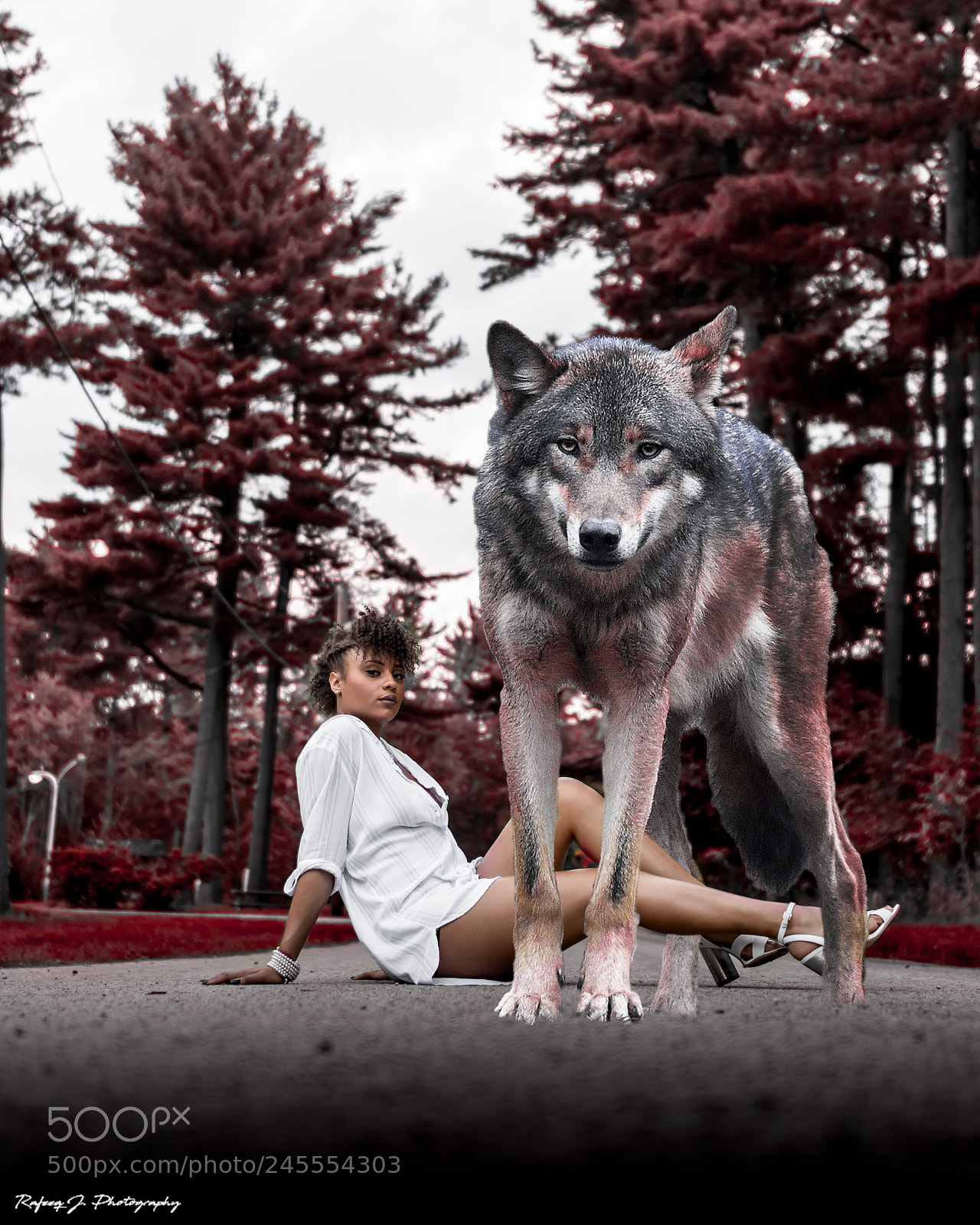 Nikon D7100 sample photo. Edit photography