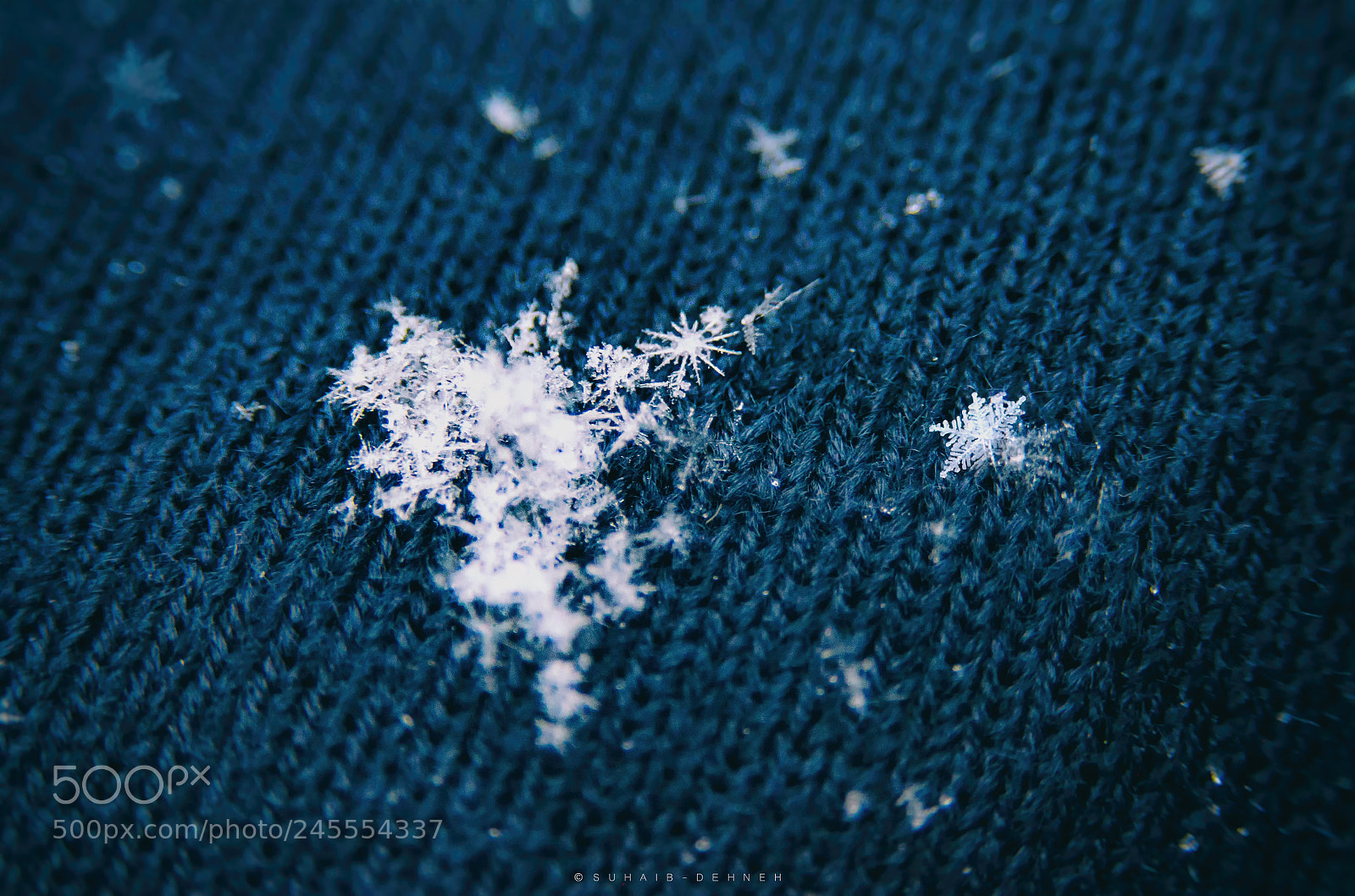 Nikon D5100 sample photo. Snow - snow flake photography