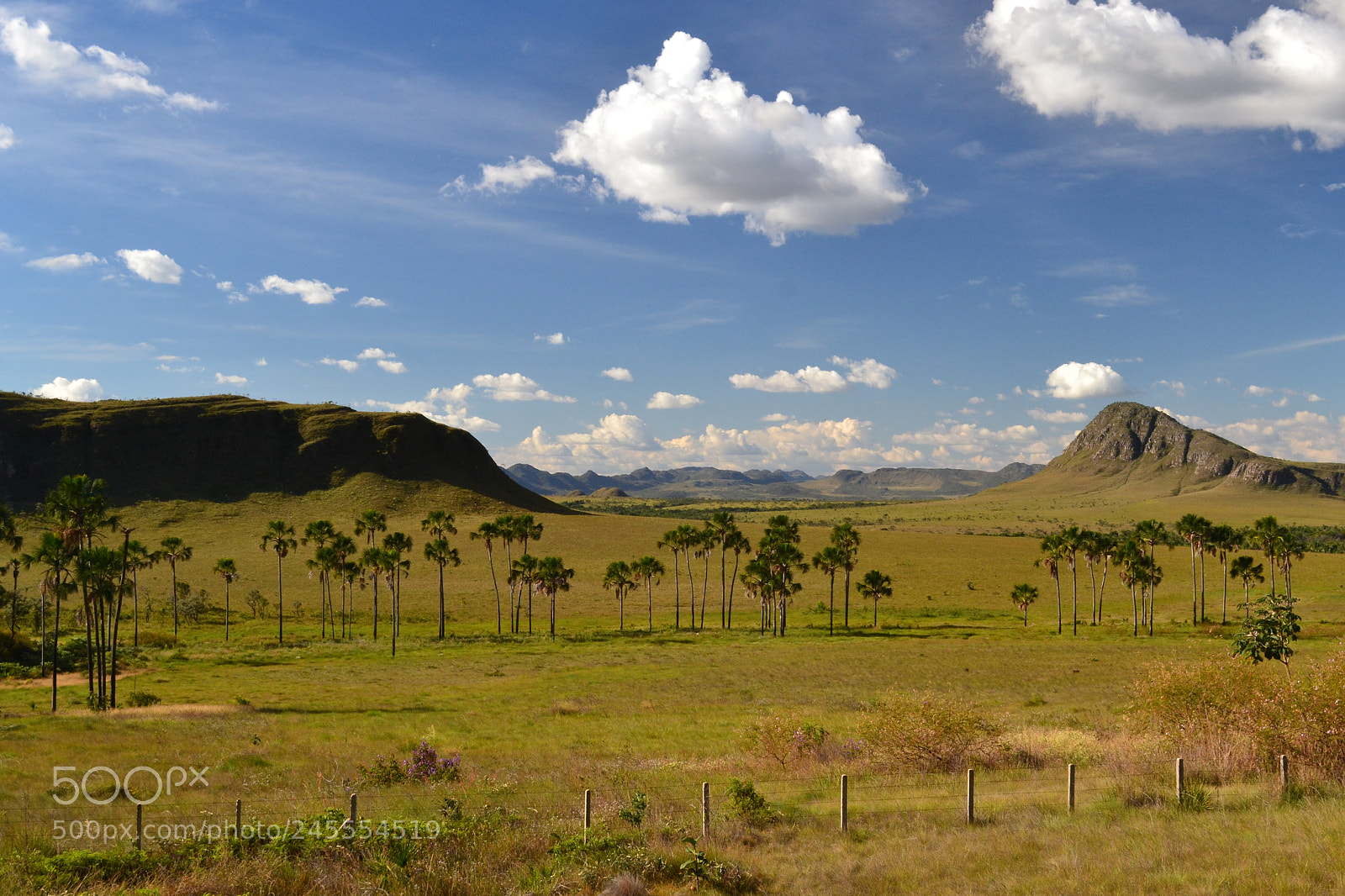 Nikon D3100 sample photo. Pncv () photography