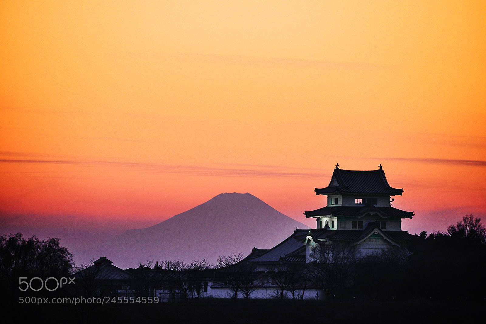 Nikon D610 sample photo. Fuji and a castle 3 photography