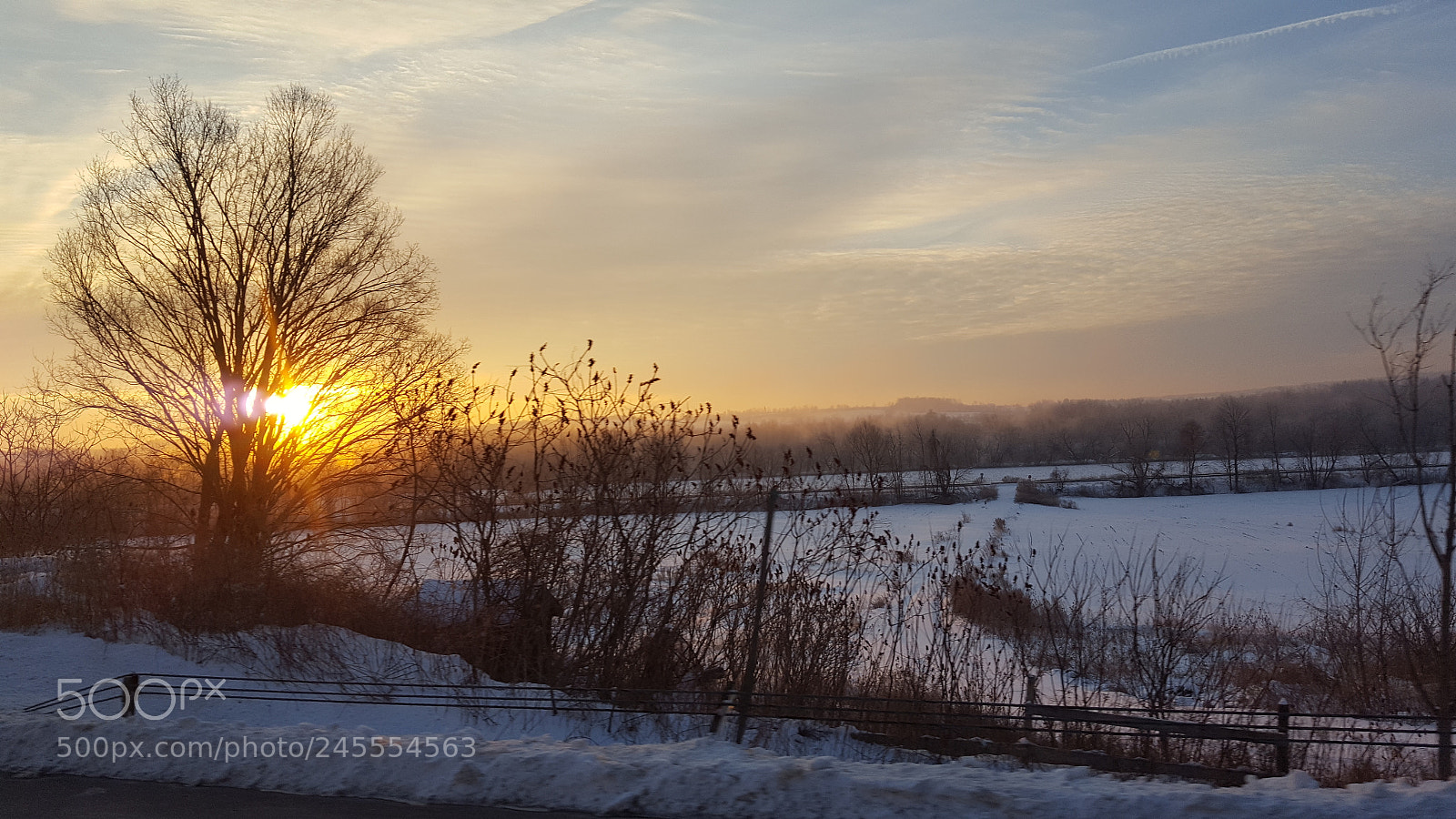 Samsung Galaxy S6 sample photo. Good morning photography