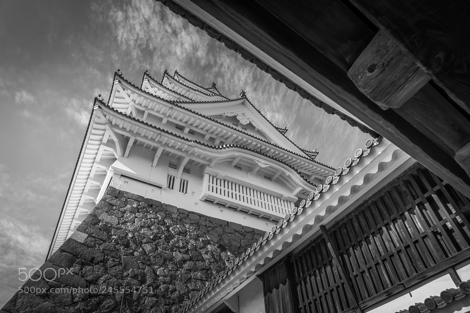 Sony a7R sample photo. Himeji castle photography
