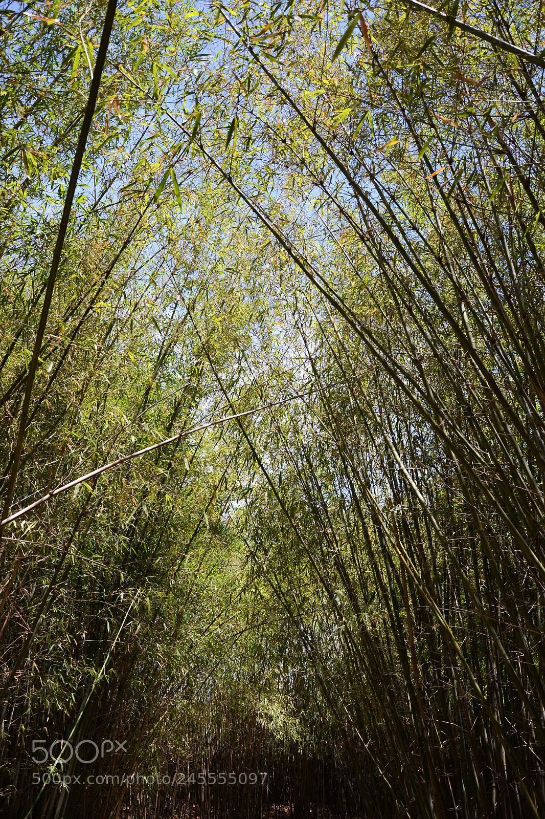 Nikon D3100 sample photo. Untitled photography