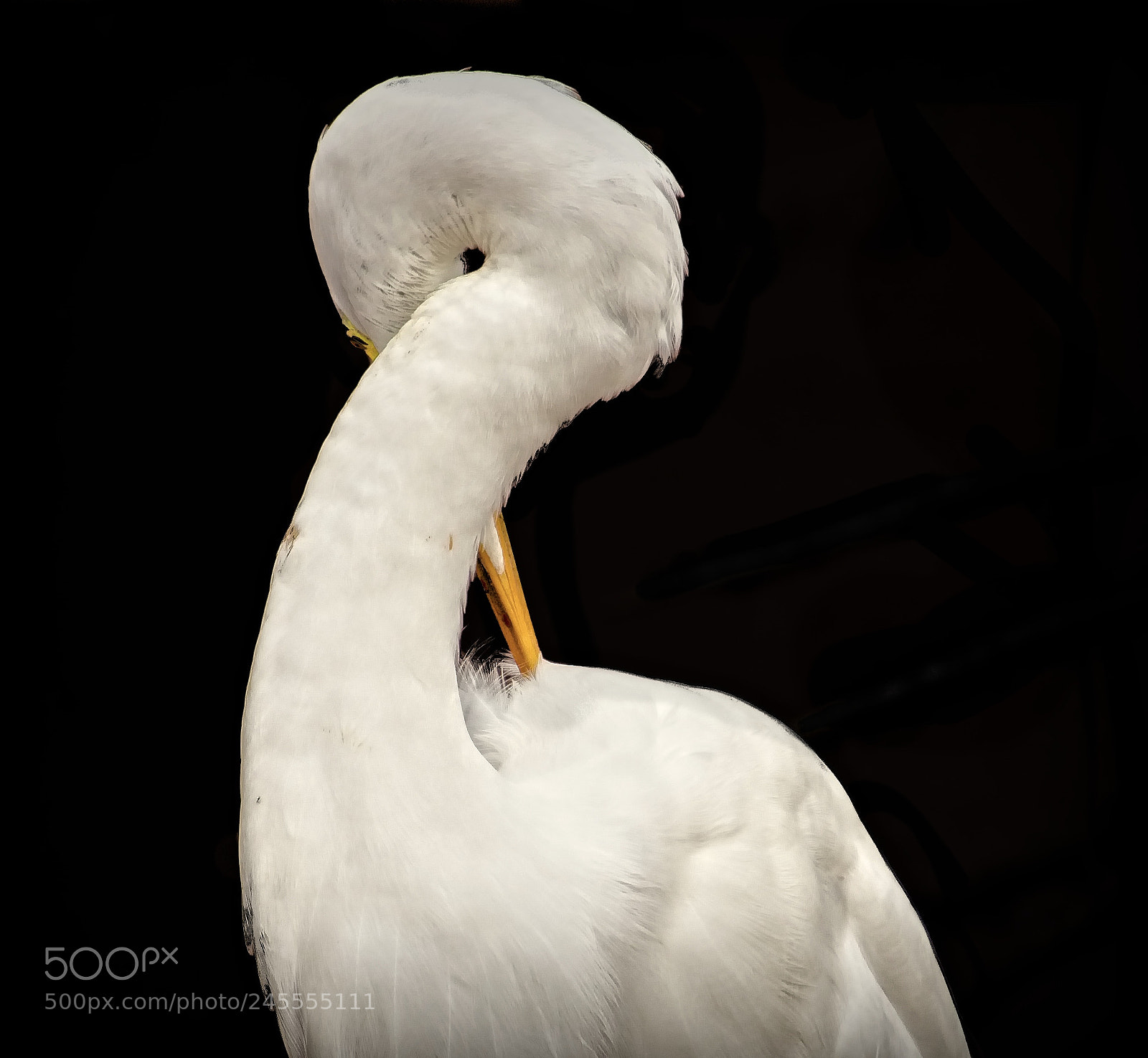 Canon EOS 7D Mark II sample photo. Portrait photography