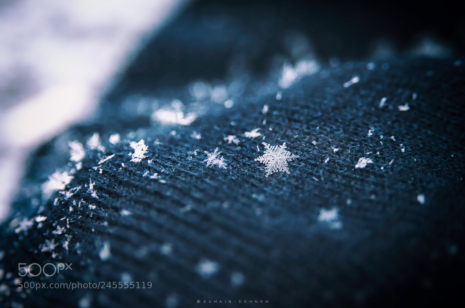 Nikon D5100 sample photo. Snow - snow flake photography