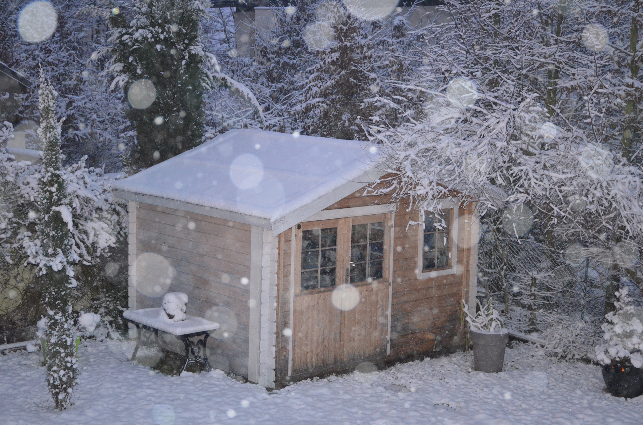 Nikon D5100 sample photo. A snowing day photography