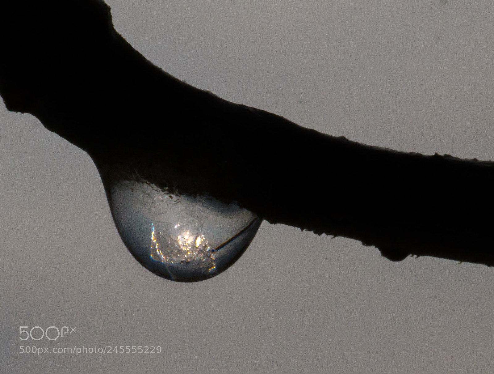 Panasonic DMC-G70 sample photo. Waterdrop of melting snow photography