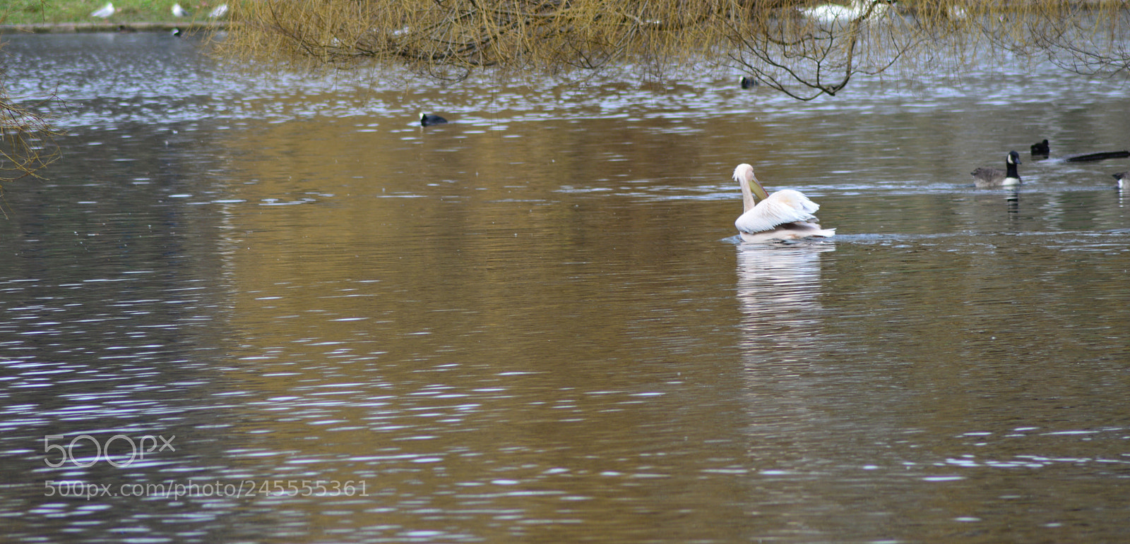 Nikon D3200 sample photo. Untitled photography