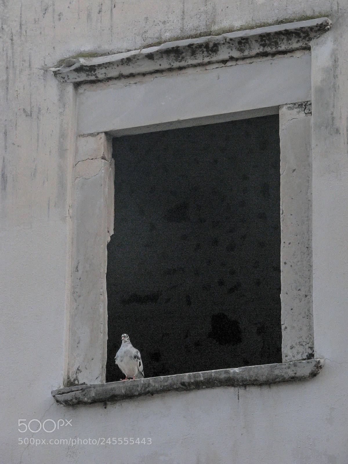 Canon POWERSHOT S5 IS sample photo. Santorini photography