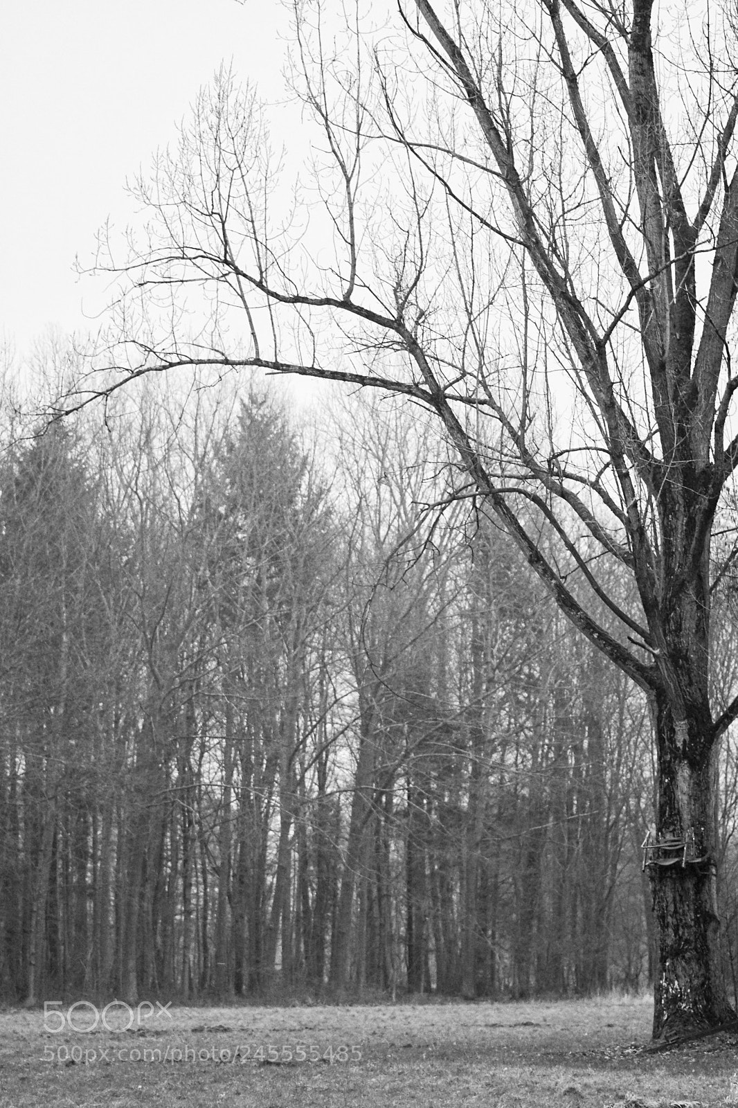 Sony a6300 sample photo. Hunting area photography