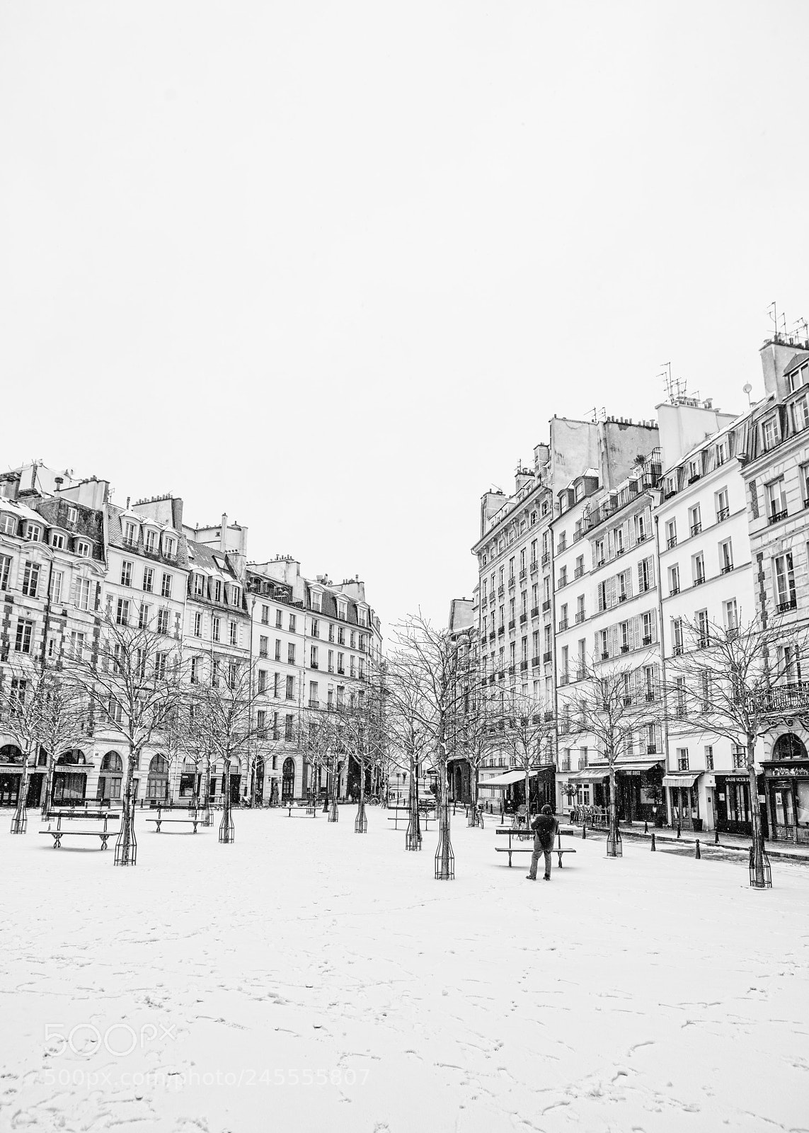 Canon EOS 5DS R sample photo. Paris under the snow photography