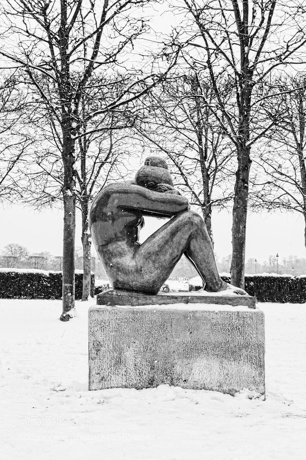 Canon EOS 5DS R sample photo. Paris under the snow photography